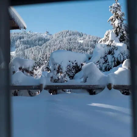 Flat Polar - - Mont D'arbois Megève