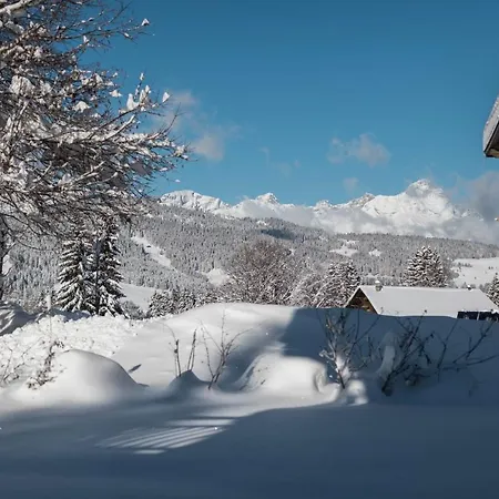 Flat Polar - - Mont D'arbois *