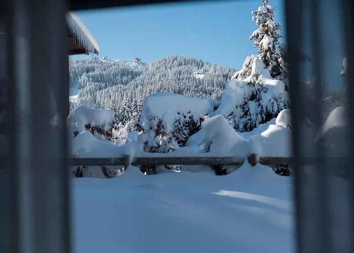 Flat Polar - - Mont D'arbois メジェーヴ