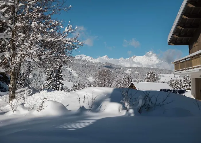 Flat Polar - - Mont D'arbois *