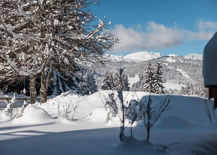 Flat Polar - - Mont D'arbois アパート