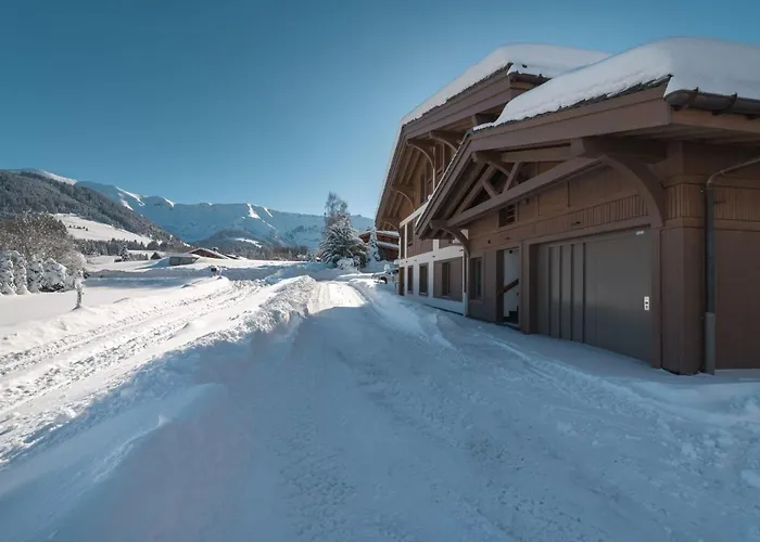 Flat Polar - - Mont D'arbois Megève